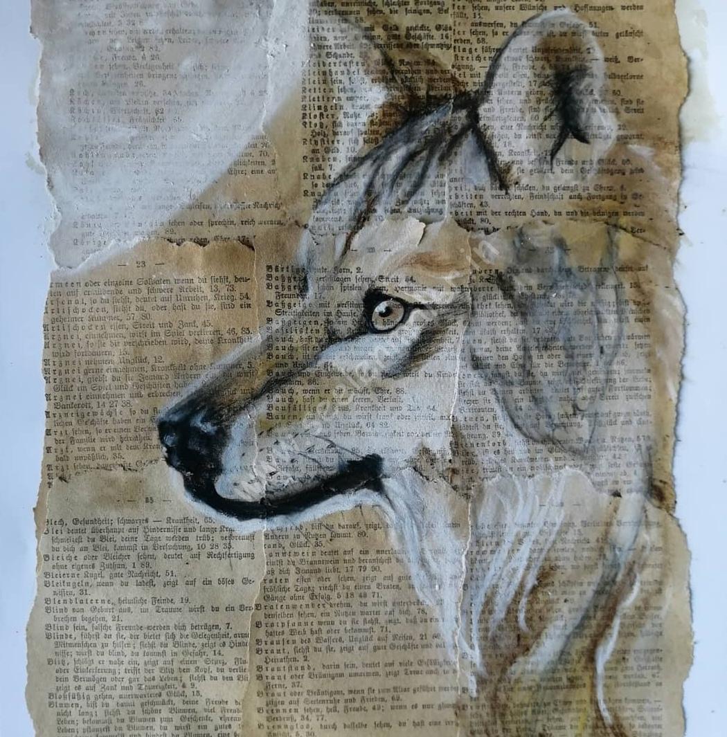 Screenshot_20220312_154737